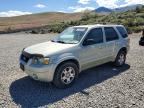 2005 FORD ESCAPE