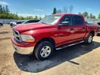 2010 DODGE RAM 1500