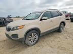 2011 KIA SORENTO