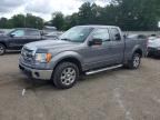2013 FORD F150