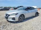 2019 NISSAN MAXIMA