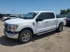 2023 FORD F150