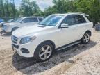 2017 MERCEDES-BENZ GLE