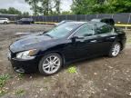 2010 NISSAN MAXIMA