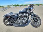 2020 HARLEY-DAVIDSON XL883