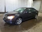 2010 CHEVROLET MALIBU