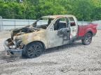 2010 FORD F150