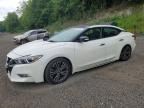 2017 NISSAN MAXIMA