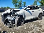 2025 LEXUS NX 450H+