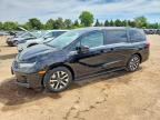 2026 HONDA ODYSSEY