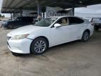 2013 LEXUS ES