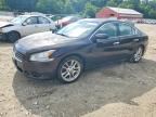 2010 NISSAN MAXIMA