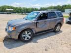 2010 FORD ESCAPE