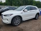 2025 INFINITI QX50