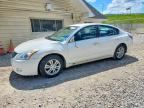 2011 NISSAN ALTIMA