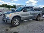 2010 FORD F150