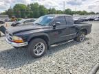 2004 DODGE DAKOTA