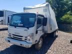 2024 ISUZU NRR