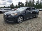 2016 HYUNDAI SONATA HYBRID