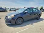 2014 TOYOTA COROLLA