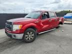 2013 FORD 150
