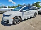 2026 HONDA ODYSSEY