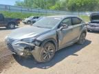 2019 LEXUS NX 300