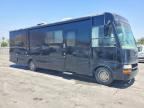 1999 FORD F550