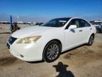 2008 LEXUS ES
