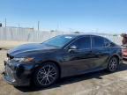 2024 TOYOTA CAMRY HYBRID