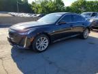 2024 CADILLAC CT5