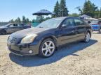 2004 NISSAN MAXIMA