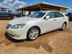 2010 LEXUS ES
