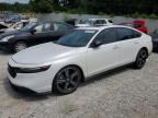 2026 HONDA ACCORD