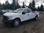 2017 FORD F150