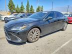 2019 LEXUS ES