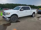 2013 FORD F150