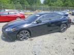 2019 LEXUS ES