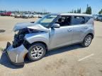 2025 KIA SOUL