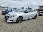 2018 NISSAN MAXIMA