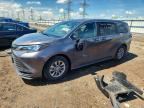 2024 TOYOTA SIENNA