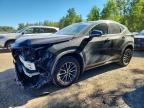 2024 LEXUS NX 350H