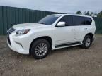 2019 LEXUS GX