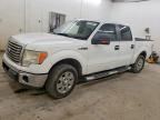 2010 FORD F150
