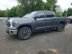 2021 TOYOTA TUNDRA