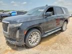 2023 CADILLAC ESCALADE
