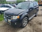 2009 FORD ESCAPE
