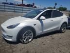 2023 TESLA MODEL  Y