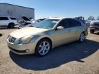 2004 NISSAN MAXIMA