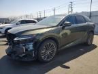 2025 LEXUS RX